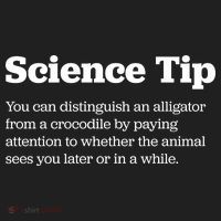 Funny Science Tip How To Distinguish A Alligator From A Crocodile Beanie thumb 2