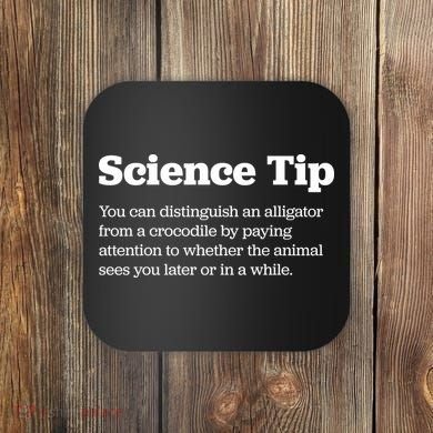Funny Science Tip How To Distinguish A Alligator From A Crocodile Coaster