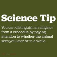 Funny Science Tip How To Distinguish A Alligator From A Crocodile Kids Hoodie thumb 2