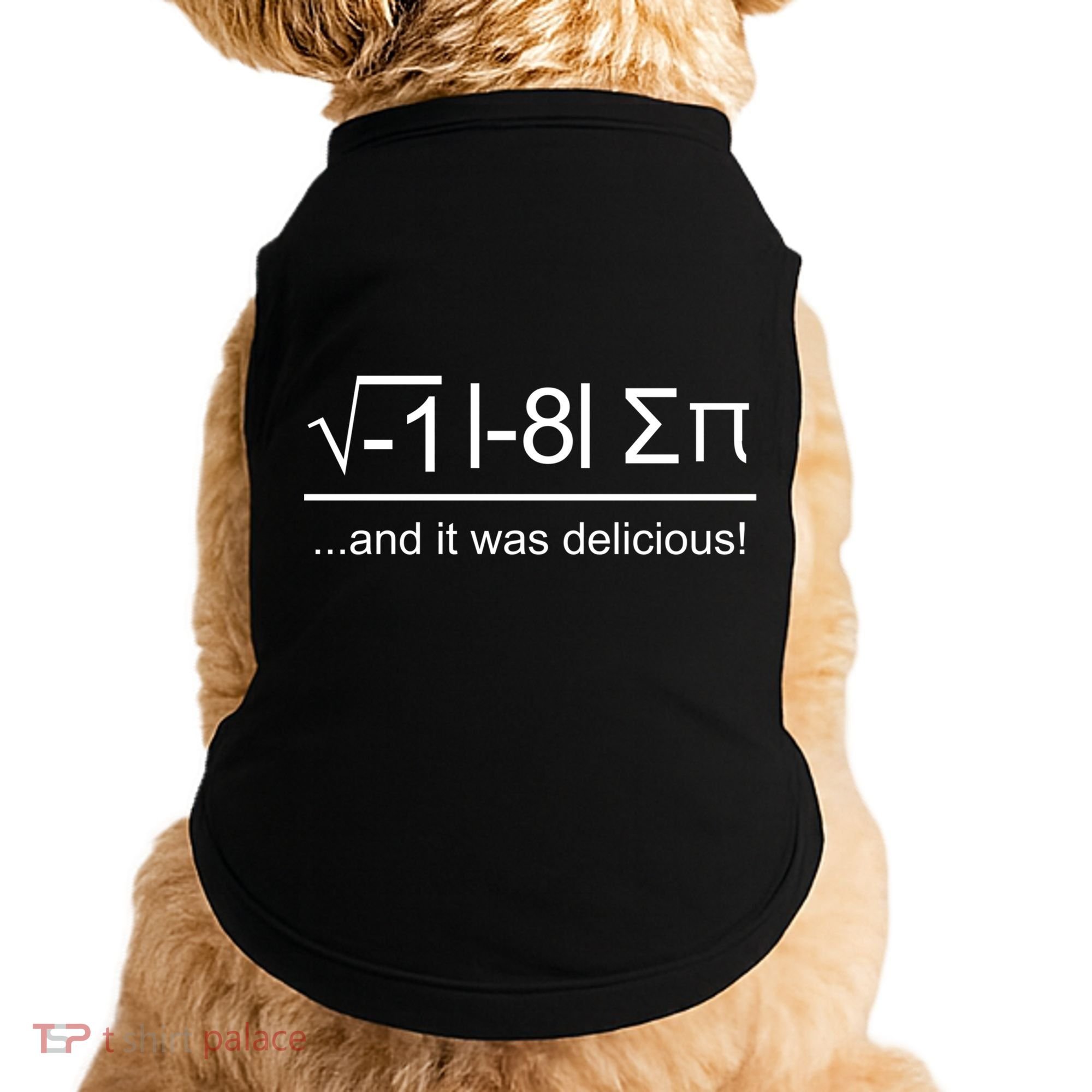 Funny Science Teacher Physicist Physics Meaningful Gift Doggie Tank