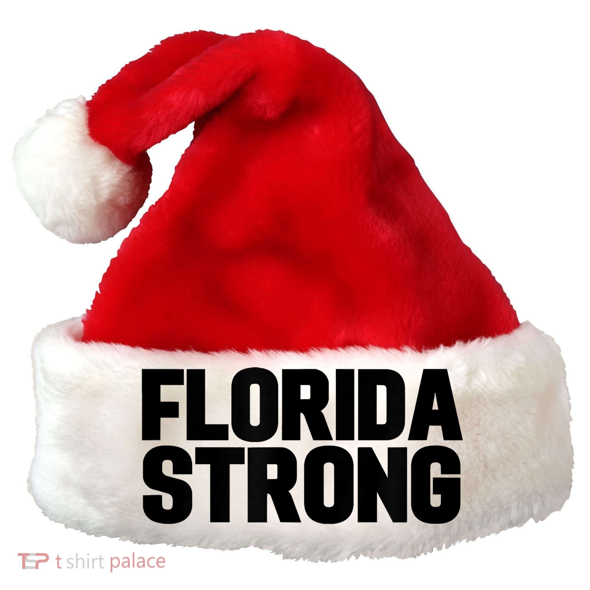 Florida Strong Usa America State Santa Hat