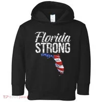 Florida Strong Usa Toddler Hoodie thumb 0