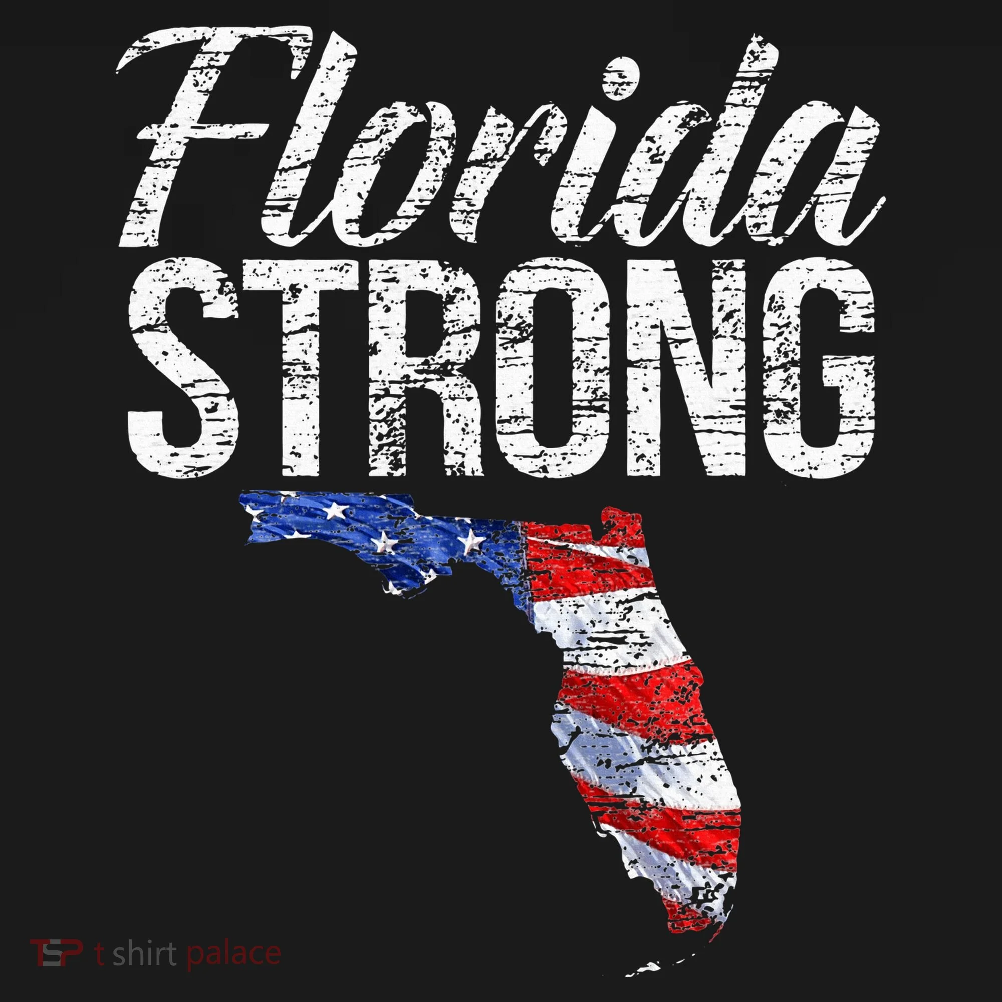 Florida Strong Usa Toddler Hoodie
