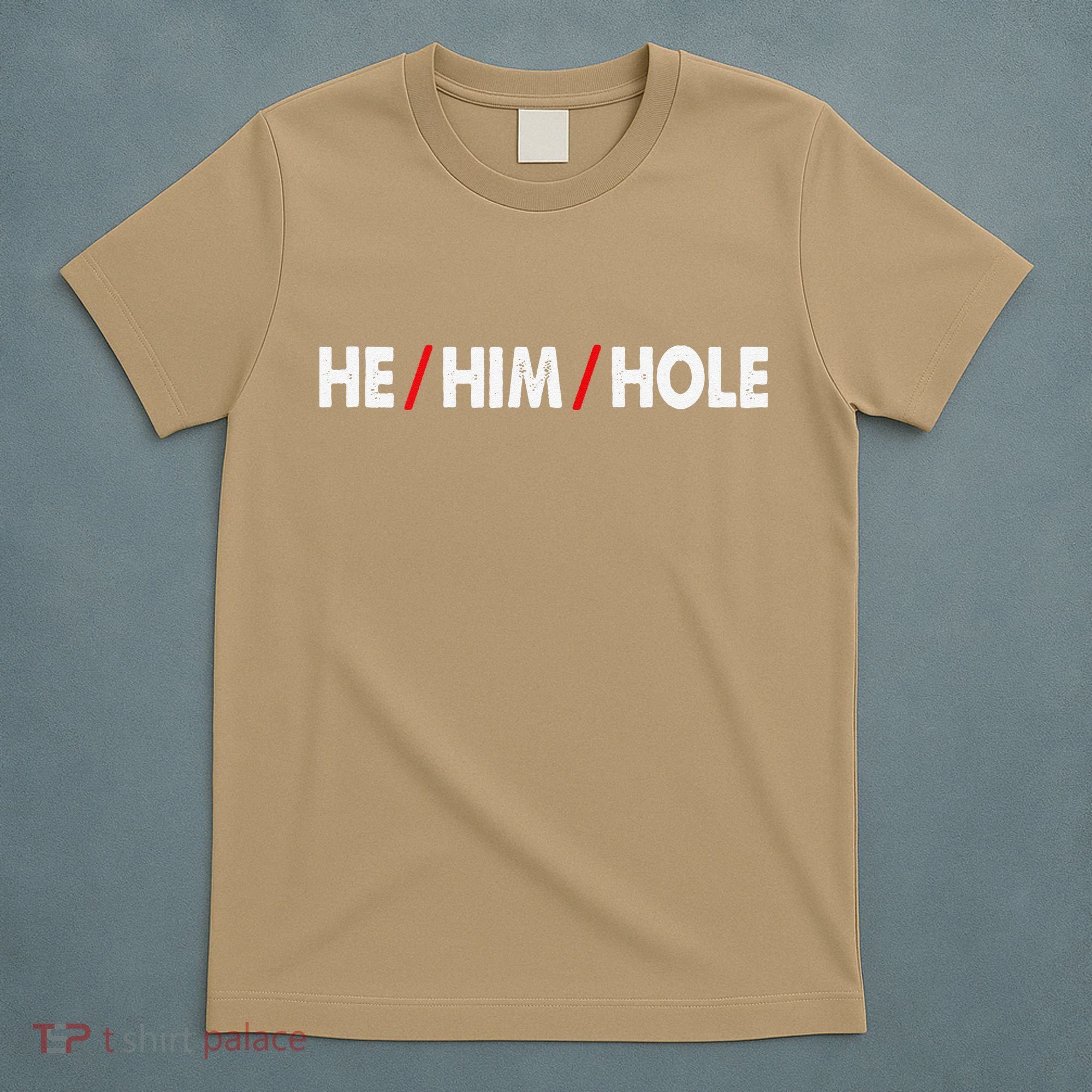 Funny Sarcastic Valentine's Day He Him Hole T-Shirt