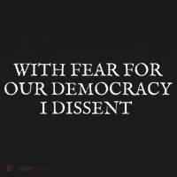 Fahson Store With Fear For Our Democracy I Dissent Toddler Hoodie thumb 2