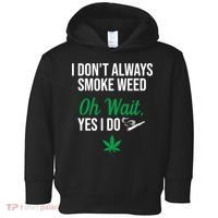 Funny Smoke Weed Marijuana Stoner Toddler Hoodie thumb 0