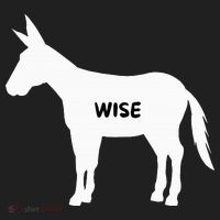 Funny Sarcastic Wise Donkey Lovers Hat thumb 2