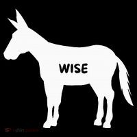 Funny Sarcastic Wise Donkey Lovers Toddler Hoodie thumb 2