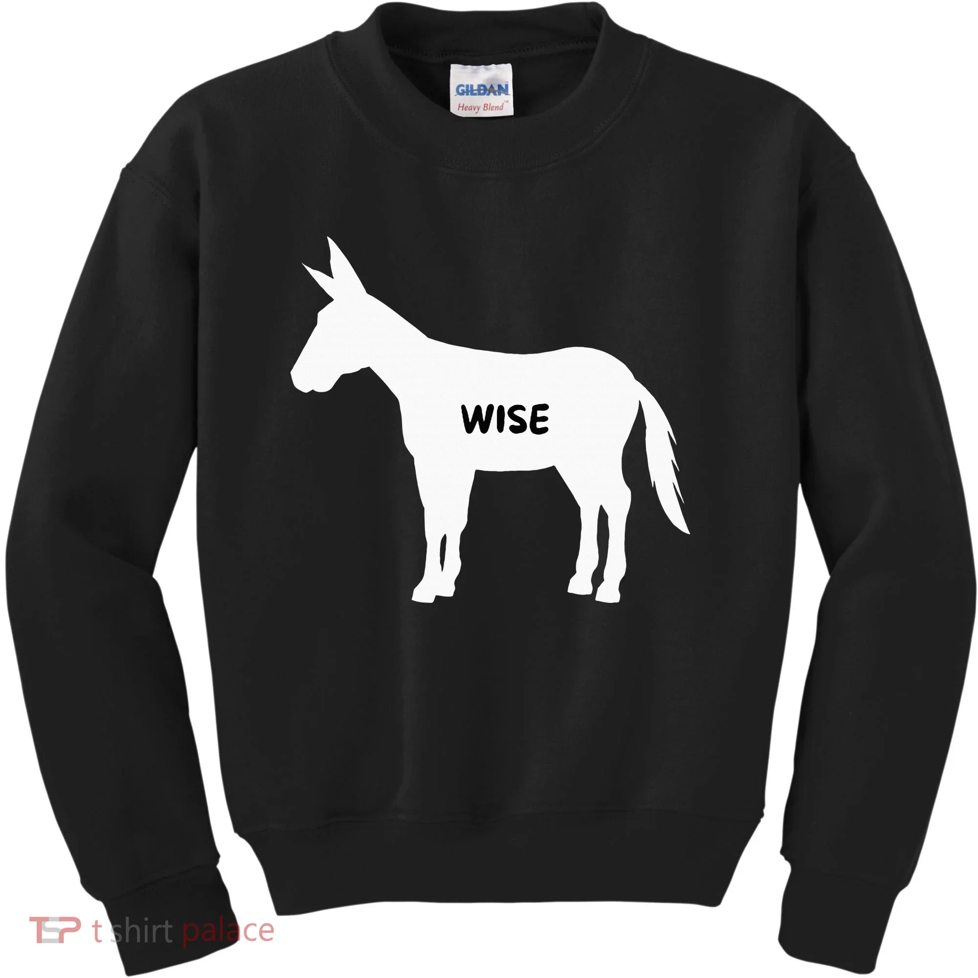 Funny Sarcastic Wise Donkey Lovers Kids Sweatshirt