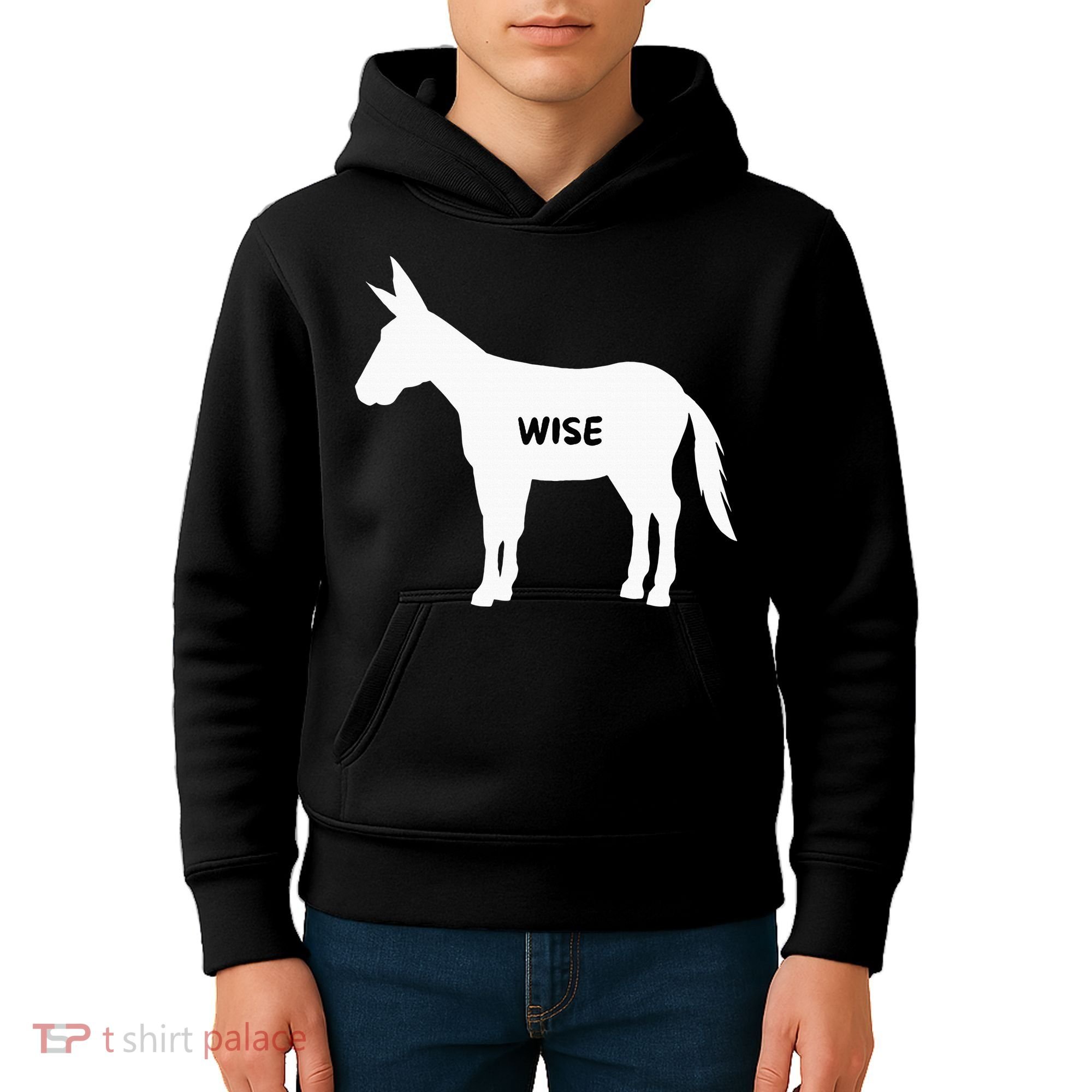 Funny Sarcastic Wise Donkey Lovers Kids Hoodie