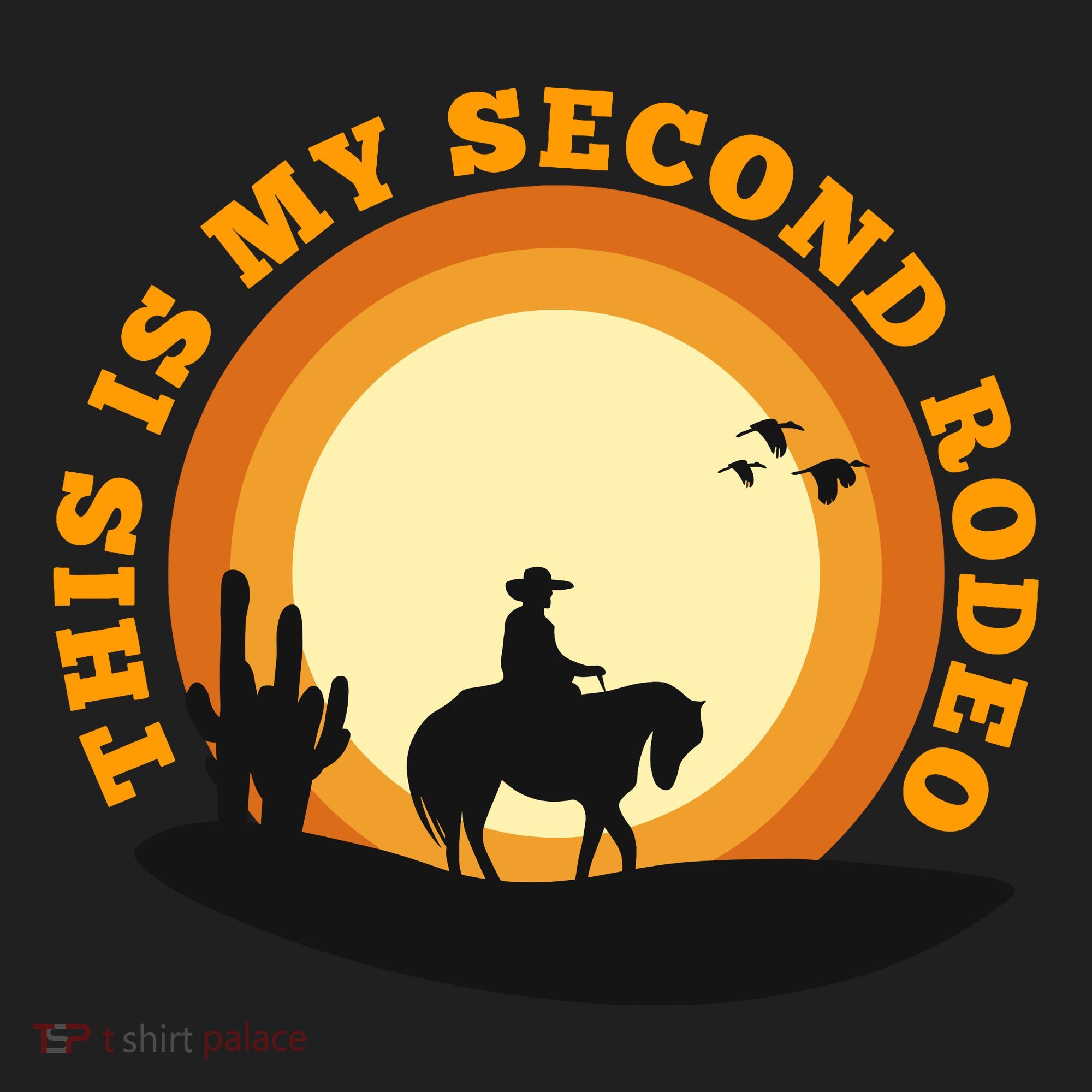 Funny Sarcastic Western This Is My Second Rodeo Cowboy Beanie