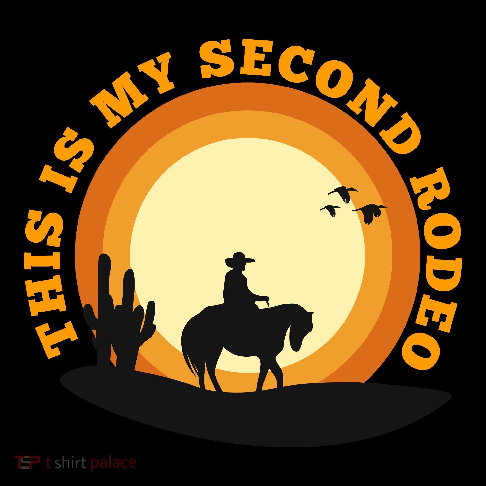 Funny Sarcastic Western This Is My Second Rodeo Cowboy Women's Hoodie