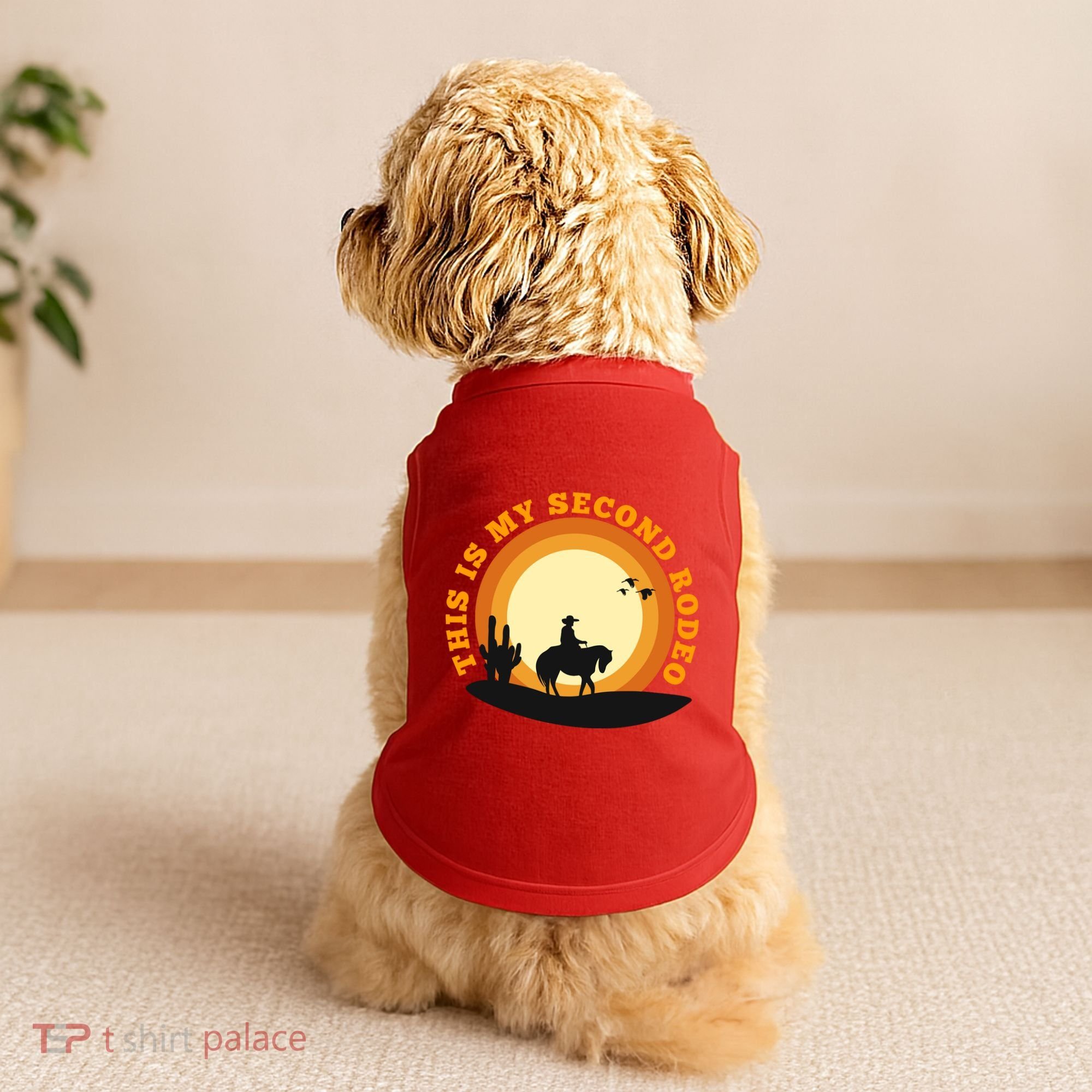 Funny Sarcastic Western This Is My Second Rodeo Cowboy Doggie Tank