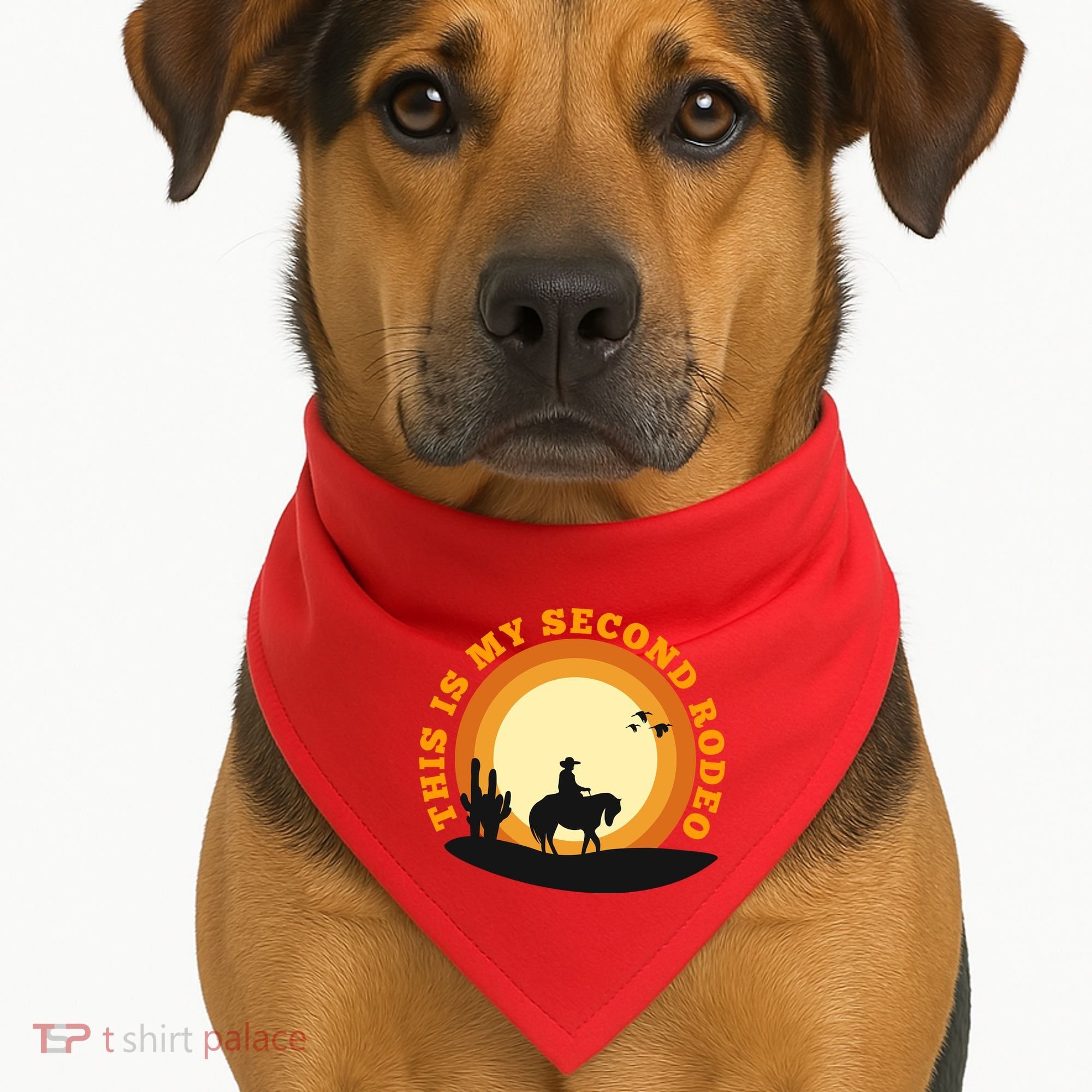 Funny Sarcastic Western This Is My Second Rodeo Cowboy USA-Made Doggie Bandana