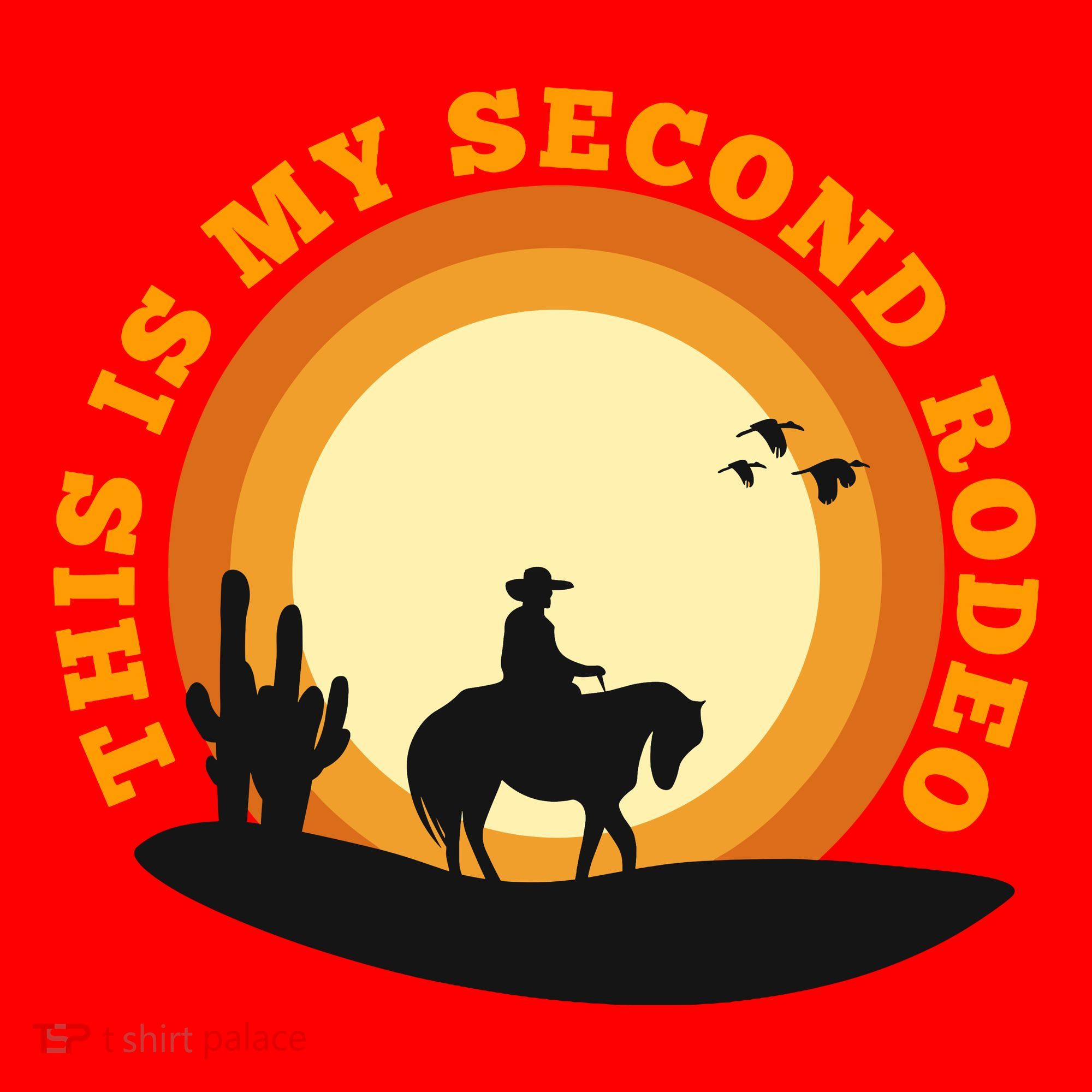 Funny Sarcastic Western This Is My Second Rodeo Cowboy Mousepad