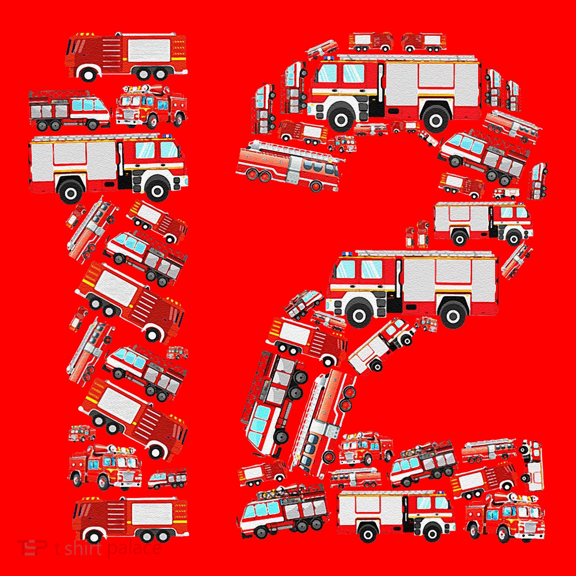 Fire Truck 12th Birthday  12 Years Old Firefighter Santa Hat