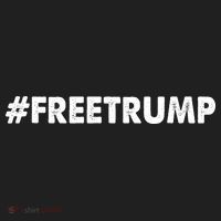 Free Trump 2024 Pro Donald Trump Beanie thumb 2