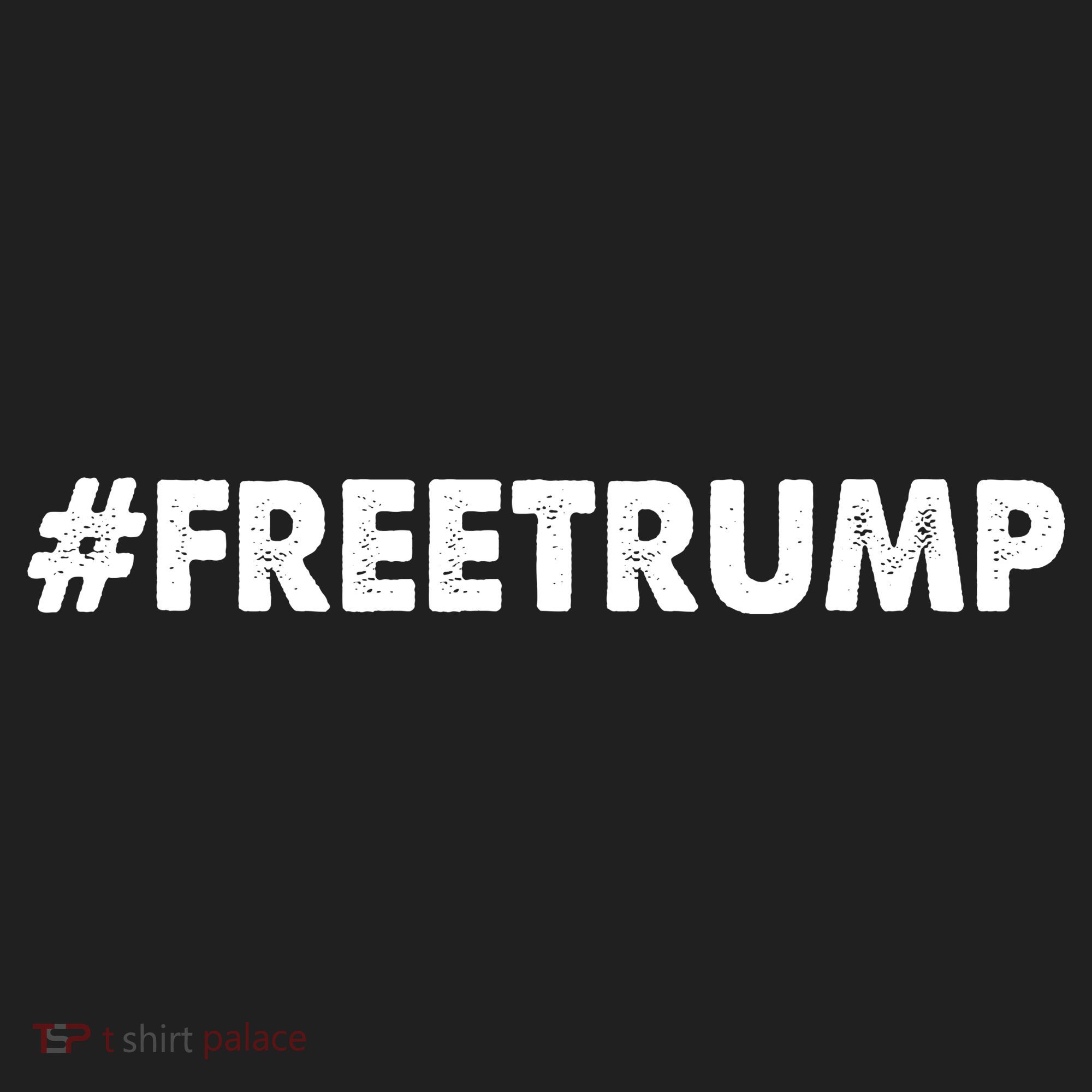 Free Trump 2024 Pro Donald Trump Beanie