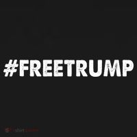 Free Trump 2024 Pro Donald Trump Women's Hoodie thumb 2
