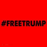 Free Trump 2024 Pro Donald Trump Santa Hat thumb 1