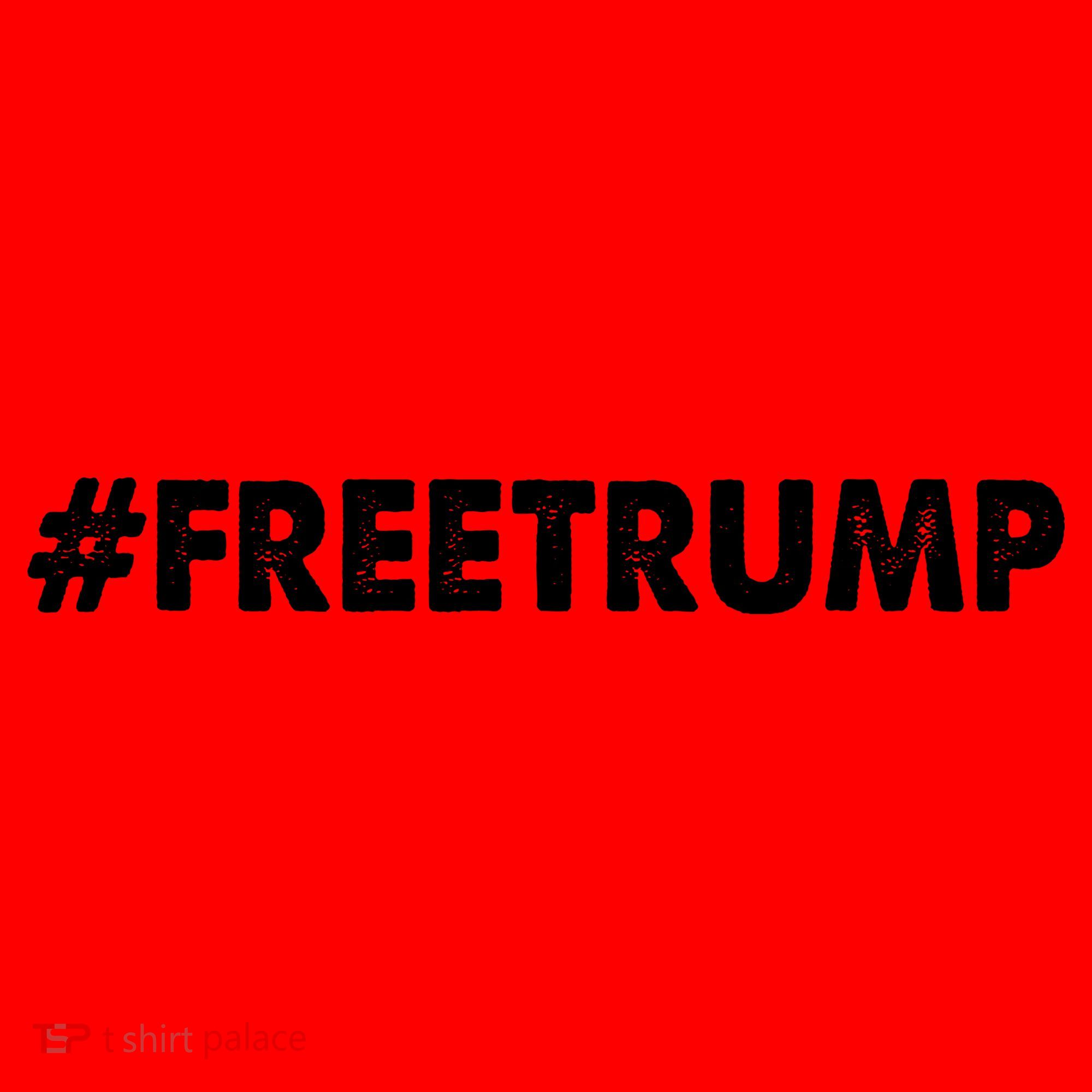 Free Trump 2024 Pro Donald Trump Santa Hat