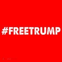 Free Trump 2024 Pro Donald Trump Tank Top thumb 6
