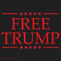 Free Trump 2024 Prison Beanie thumb 2