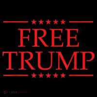 Free Trump 2024 Prison Women's Hoodie thumb 2