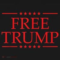 Free Trump 2024 Prison Kids Hoodie thumb 5