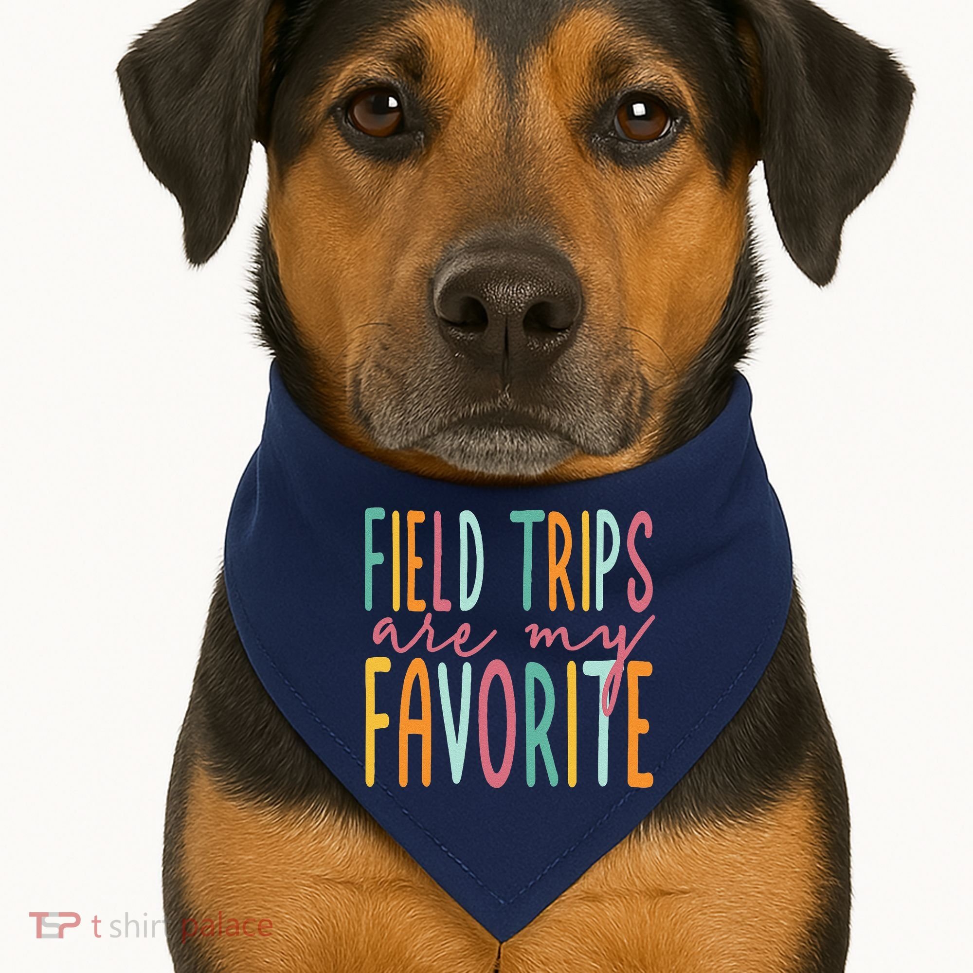 Field Trips Are My Favorite I Field Trips Children Teacher USA-Made Doggie Bandana