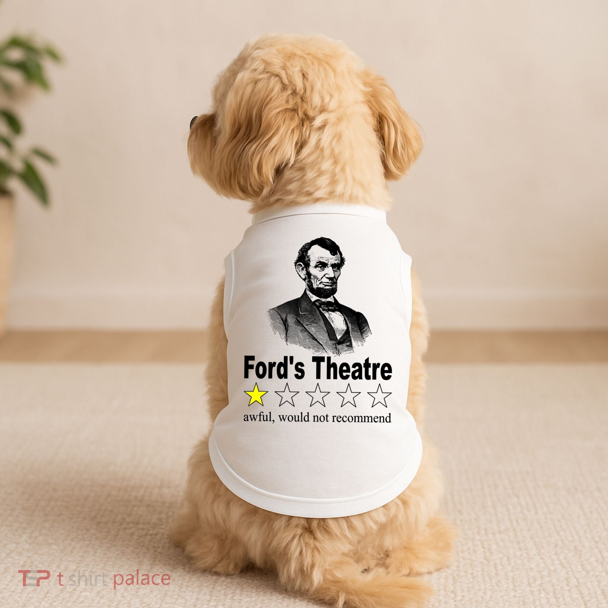 Ford's Theatre Awful Would Not Recommend Review Doggie Tank