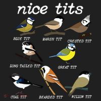Funny Tit Birds Birdwatcher Tumbler thumb 3