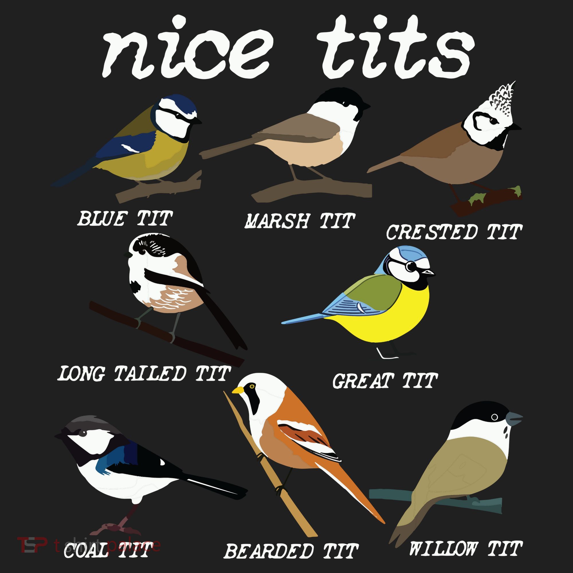 Funny Tit Birds Birdwatcher Hat