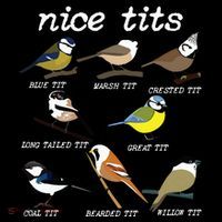 Funny Tit Birds Birdwatcher Women's Long Sleeve Shirt thumb 2