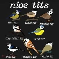 Funny Tit Birds Birdwatcher Women's T-Shirt thumb 6