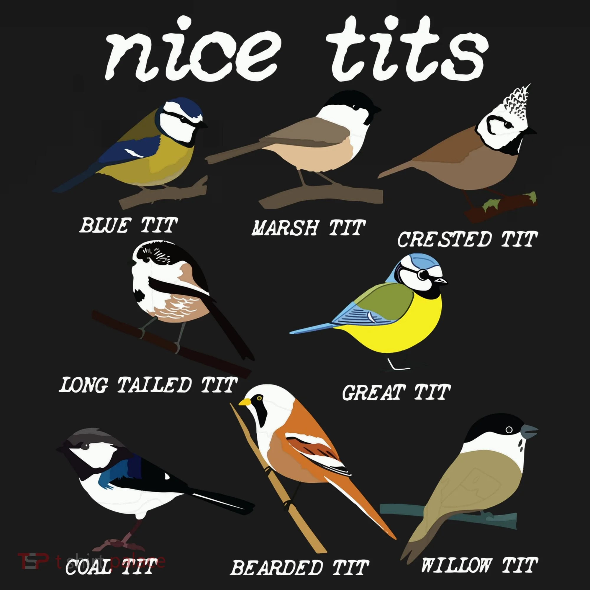 Funny Tit Birds Birdwatcher Women's T-Shirt