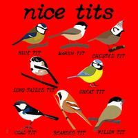 Funny Tit Birds Birdwatcher Santa Hat thumb 1