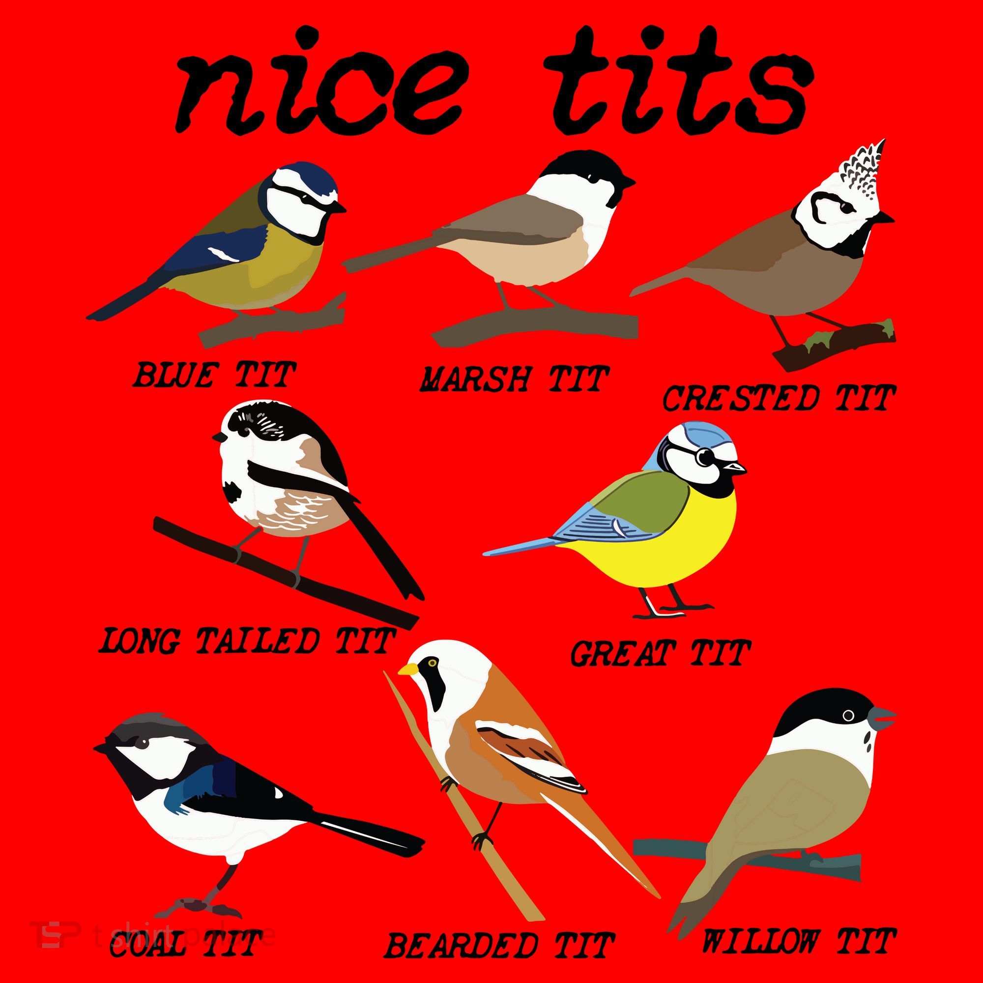 Funny Tit Birds Birdwatcher Santa Hat