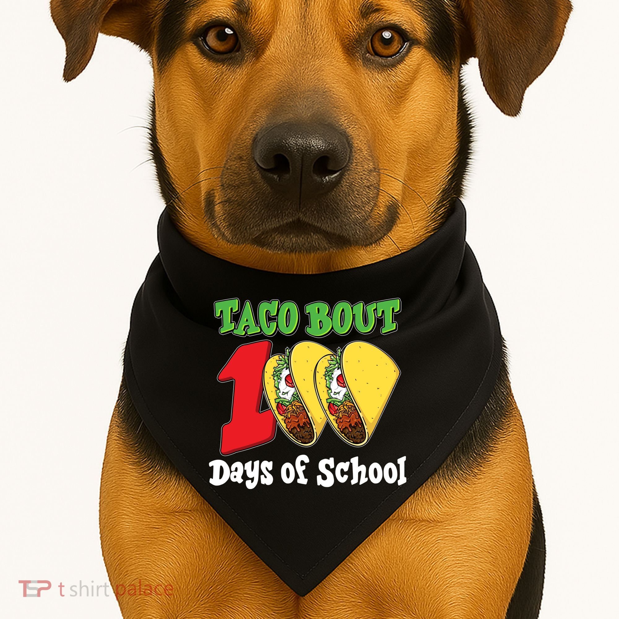 Funny Taco Bout 100 Days Of School USA-Made Doggie Bandana