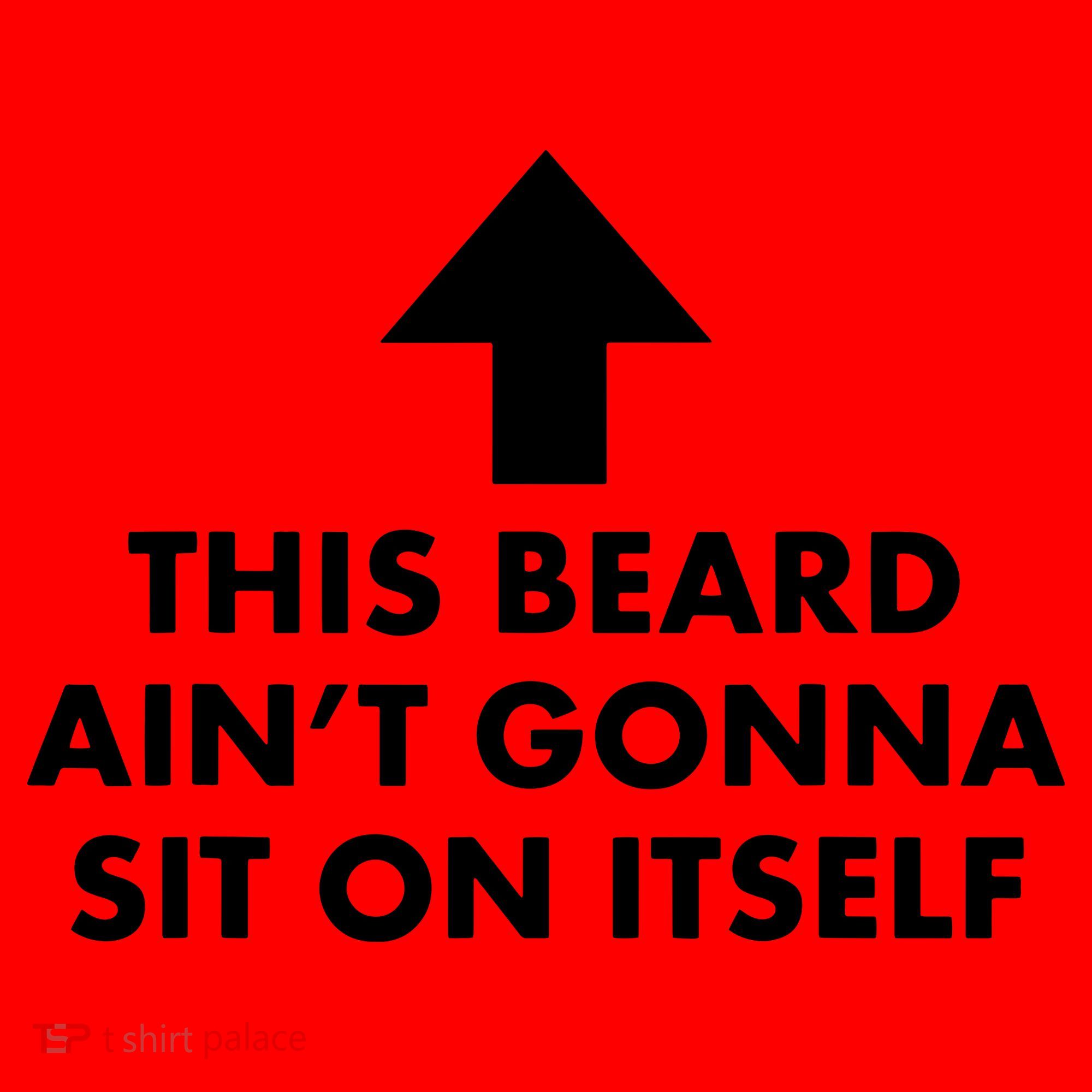 Funny This Beard Ain't Gonna Sit On Itself Gift Santa Hat