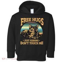 Free Tortoiseshell Cat Hugs Just Kidding Dont Touch Me Toddler Hoodie thumb 0