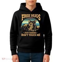 Free Tortoiseshell Cat Hugs Just Kidding Dont Touch Me Kids Hoodie thumb 4
