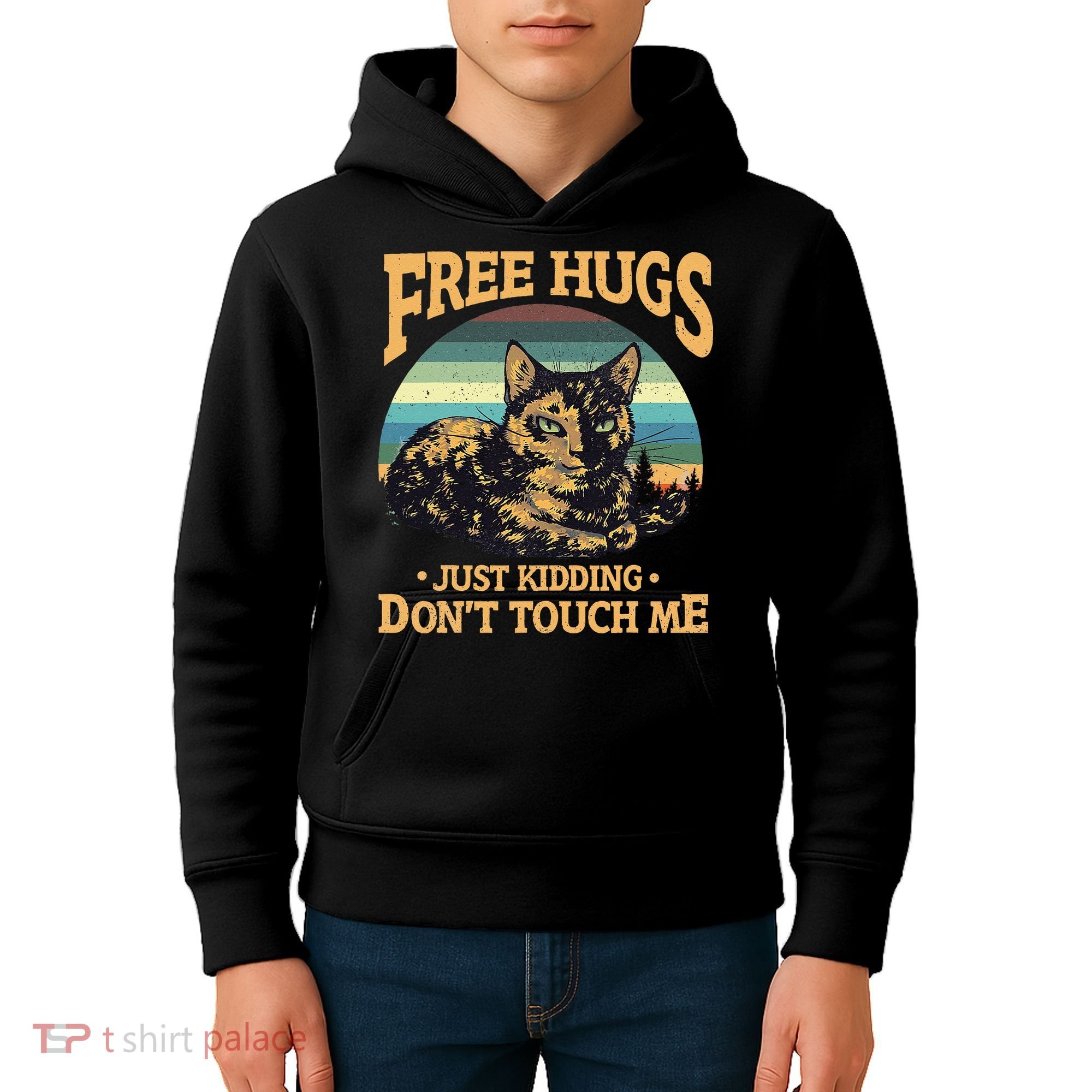 Free Tortoiseshell Cat Hugs Just Kidding Dont Touch Me Kids Hoodie