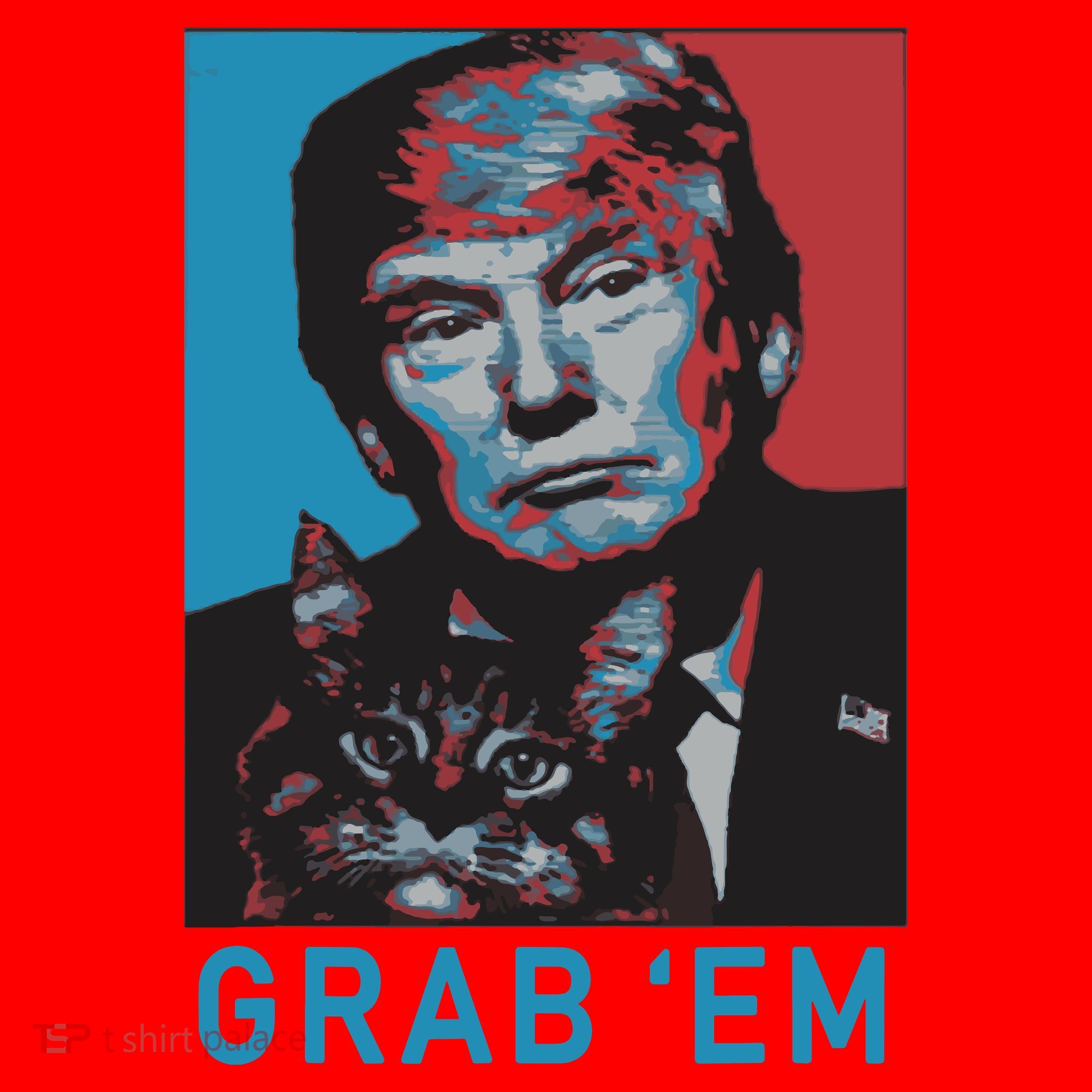 Funny Trump Cat Grab Em Cat Santa Hat