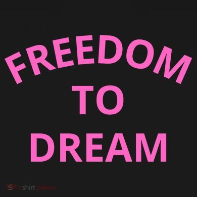 Freedom To Dream Women's V-Neck T-Shirt