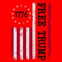Free Trump Destressed 1776 Betsy Ross USA Flag Santa Hat thumb 1