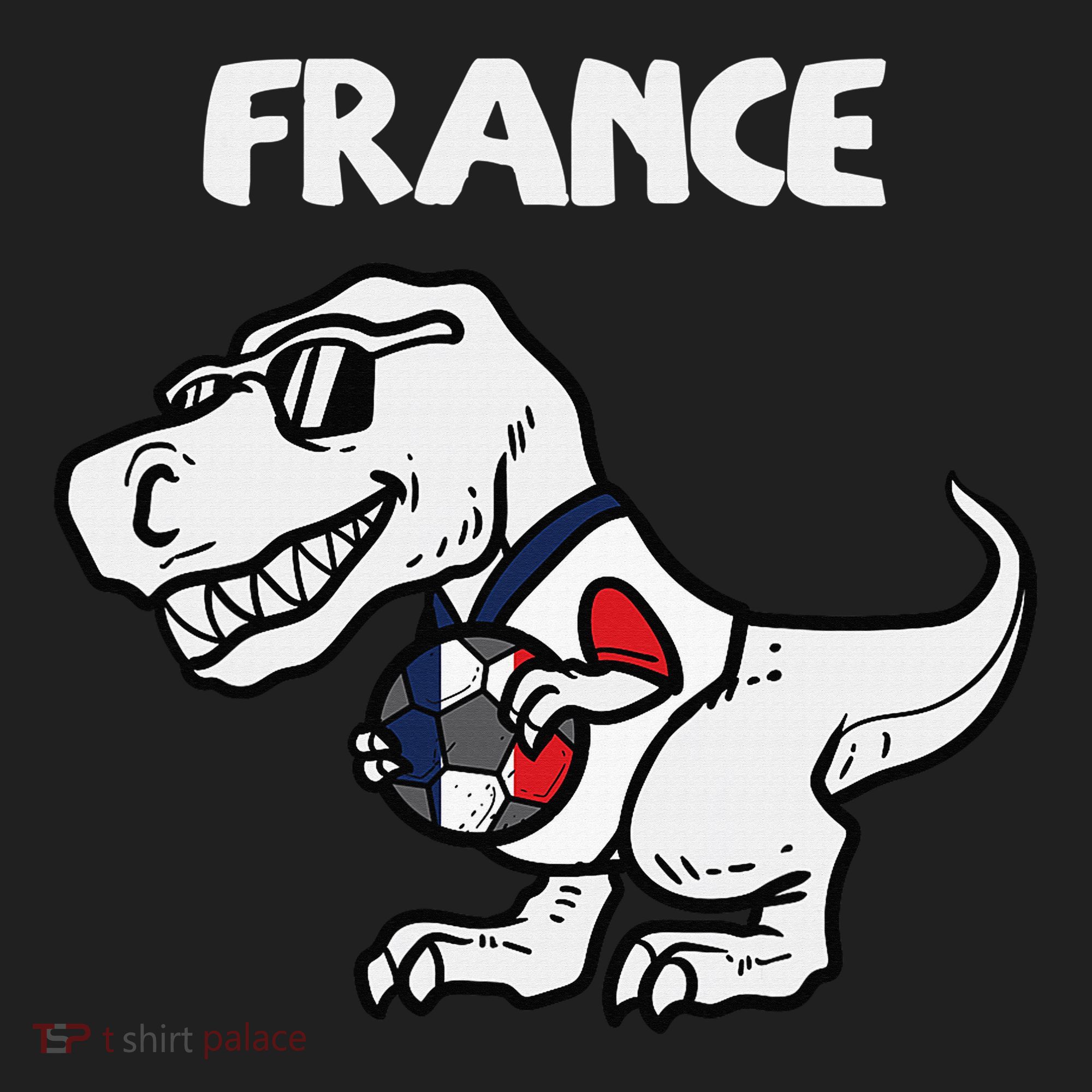 France Trex Dino French Flag Soccer Fan Beanie