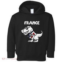France Trex Dino French Flag Soccer Fan Toddler Hoodie thumb 0