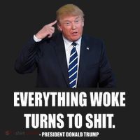 Funny Trump Everything Woke Turns To Shit Quote Tumbler thumb 3