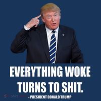 Funny Trump Everything Woke Turns To Shit Quote Visor thumb 3